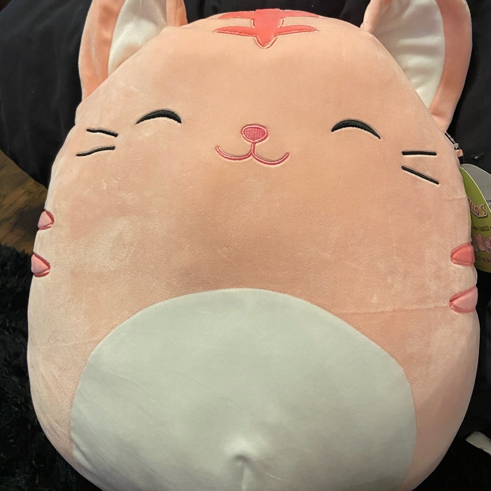 Squishmallow Easter Pink Cat “Paulita” NEW RARE